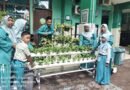 Cerdas Kelola Limbah Air: Kader Adiwiyata MINU KH. Mukmin Manfaatkan Air AC untuk Tanaman Hidroponik